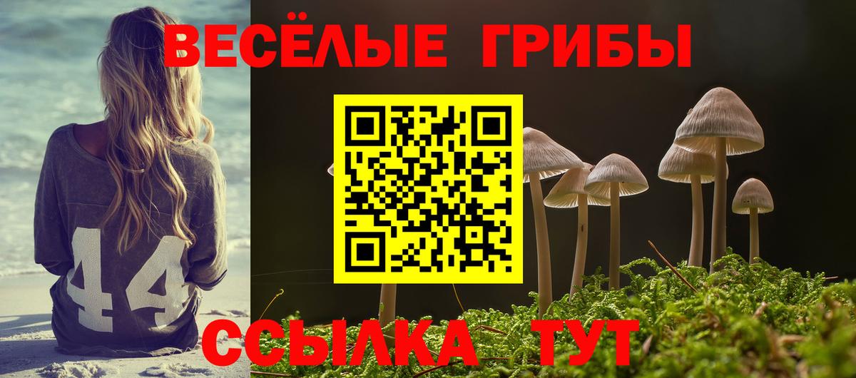 Галлюциногенные грибы Magic Shrooms  Псилоцибиновые грибы Psilocybine cubensis  Вход с VPN  Волоколамск 